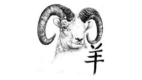 Foto tatuaje de Zodiaco Chino Foto tatuaje de Zodiaco Chino