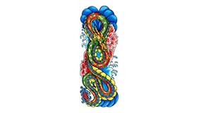 Foto tatuaje de Dragón de agua Foto tatuaje de Dragón de agua